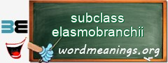 WordMeaning blackboard for subclass elasmobranchii